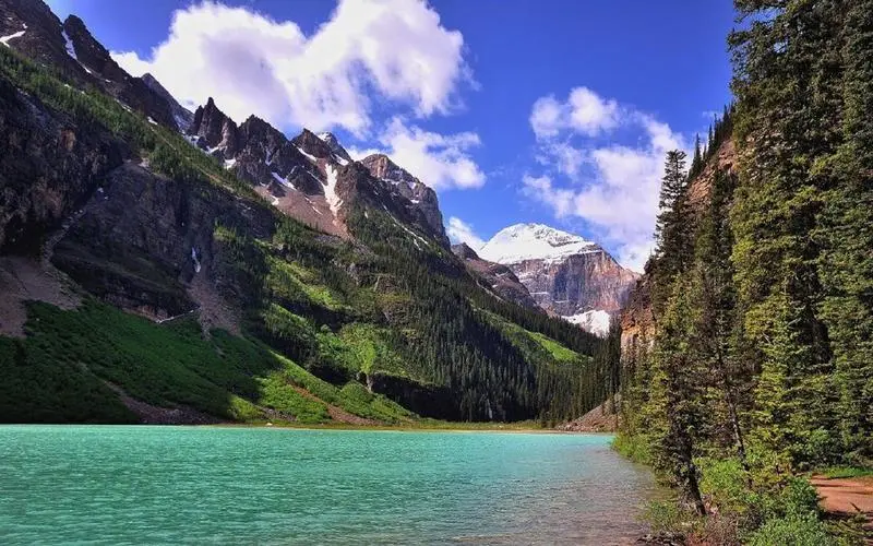 高标准无人化稳定性